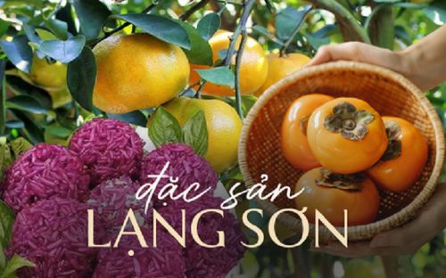 Trang thông tin OCOP và nông đặc sản tỉnh Lạng Sơn